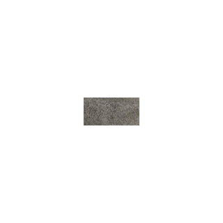 Floorgres Walks 1.0 Carrelage de sol et de mur 40x80cm 10mm rectifié R9 porcellanato Gris