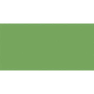 Rako Color One Carreau mural 20x40cm 7mm éclat blanc Green