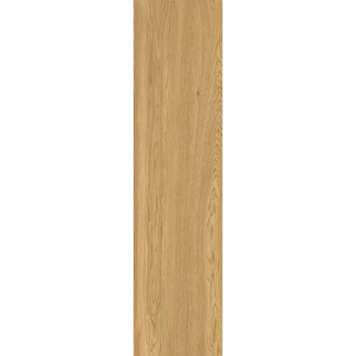 Energieker Woodwise Keramisch parket wand- en vloertegel - 30x120cm - 6.0mm - gerectificeerd - Caramel