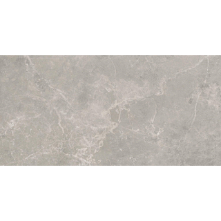 Baldocer Cerámica Concept wand- en vloertegel - 120x60cm - 9mm - gerectificeerd - Grijs