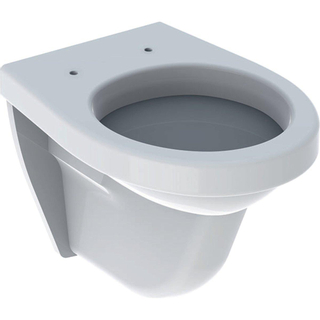 Geberit 300 Basic WC suspendu Compact à fond creux 35x48cm Blanc