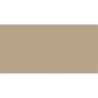 Rako Color One Carreau mural 20x40cm 7mm éclat blanc Beige foncé