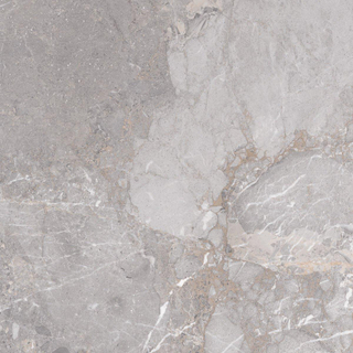 ÉCHANTILLON Edimax Astor Golden Age Carrelage de sol et de mur Rectifié Aspect Marbre Mat Gris