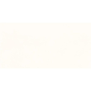 ÉCHANTILLON Rako Extra Carreau mural 20x40cm 7mm éclat blanc Beige blanc