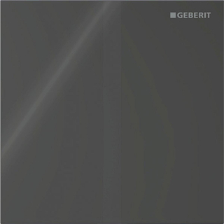 Geberit type 40 urinioir bedieningsplaat - batterij - vierkant - zwart