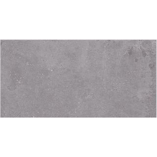 Italgranit square carrelage de sol 30x60cm 9,5 avec résistant au gel district rectifié gris mat