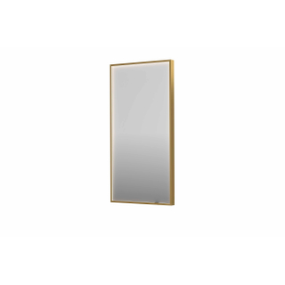 INK SP19 miroir - 50x4x100cm rectangulaire en cadre acier incl dir LED - chauffage - changement de couleur - dimmable et interrupteur - brossé mat or