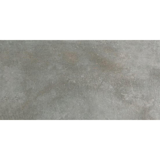 ÉCHANTILLON Cercom 300X600 Tempéré Argent