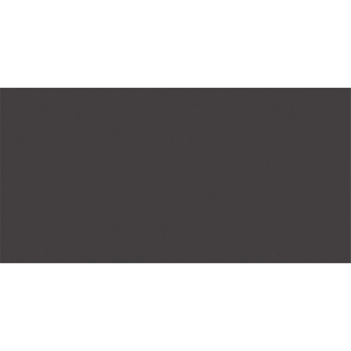 Rako Color One Carreau mural 20x40cm 7mm éclat blanc Anthracite Grey