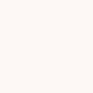 Ceramic-apolo Cargaleiro Vloertegel 200X200 Branco 8,5mm Mat R10