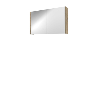 Proline spiegelkast xcellent avec double portes en miroir, 2 portes 100x14x60cm chêne brut