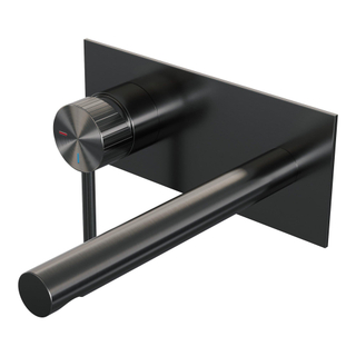 BRAUER Stripe Inbouw Wastafelmengkraan - rechte uitloop en afdekplaat - model A2 - gunmetal geborsteld PVD