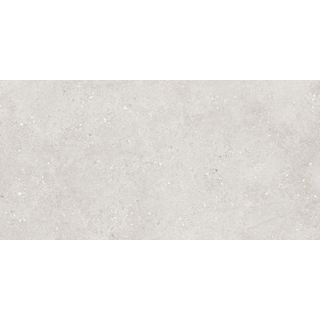 Stn ceramica flax carreau de terrazzo 59.5x120cm 20mm rectifié gris clair