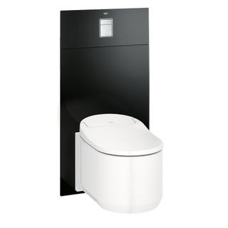 GROHE Bedieningspaneel closet/urinoir H109xB2.1xL55cm Zwart