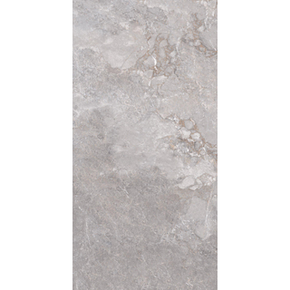 ÉCHANTILLON Edimax Astor Golden Age Carrelage de sol et de mur rectifié Aspect marbre Mat Gris