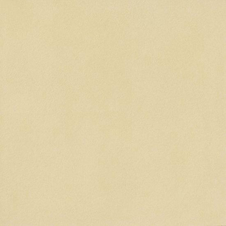 Douglas Jones Moods Décor strip - 120x60cm - 9mm - rectifié - Giada (Vert)