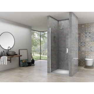 Van Rijn Products ST02 Nisdeur - 68x200 - helder glas - dikte 6mm - incl. glasbehandeling, - chroom
