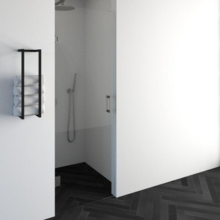 BRAUER Void nisdeur helder glas 70x200 omkeerbaar incl. glascoating PVD RVS-kleurig geborsteld