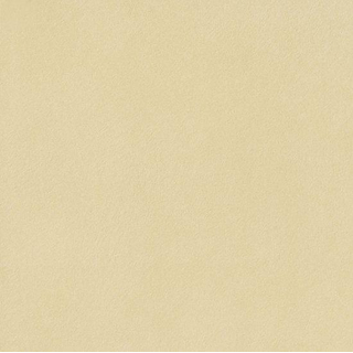 Douglas Jones Woodland Carrelage de sol et de mur - 180x22.5cm - 9mm - rectifié - Rovere Dorato (Marron)