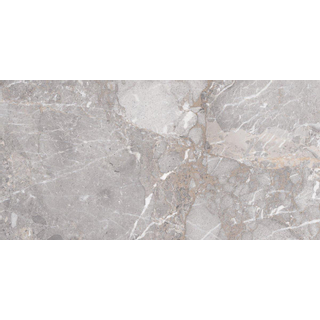 Edimax astor golden age carreau de sol et de mur 30x60cm rectifié aspect marbre gris mat