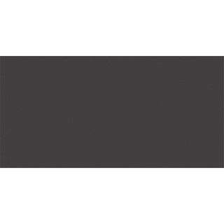 Rako Color One Carreau mural 20x40cm 7mm éclat blanc Anthracite Grey