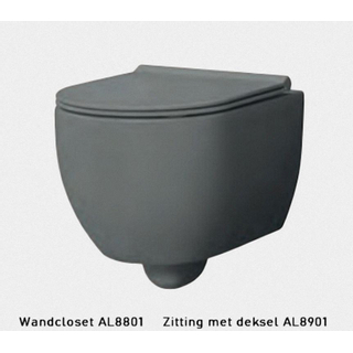 Xenz gio WC suspendu sans chasse d'eau 50,5x35cm sans siège gris mat