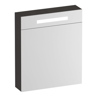 BRAUER Promise Deluxe spiegelkast - 60x70x15cm - met verlichting 1 rechtsdraaiende dubbelzijdige spiegeldeur Timber Anthracite