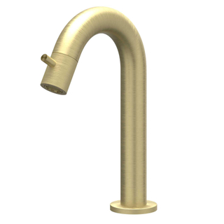 IVY Concord Robinet de lavabo - courbé - apparent - bas - RVS316 - brossé mat or PVD