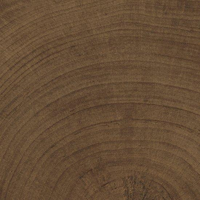 Vtwonen Tegels Woodcirkle Vloertegel - 10x10cm - 9.5mm - Wenge