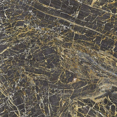 Terravito Zanello wand- en vloertegel - 120x120cm - Vierkant - 9mm - gerectificeerd - Marmerlook - Black golden
