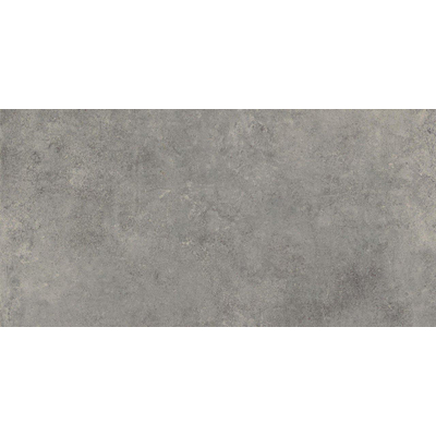 ÉCHANTILLON Terravito Sigillo carreau mural et de sol - 29,6x59,5cm - 8mm - rectifié - aspect béton - Gris