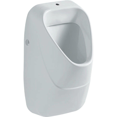 Geberit 300 Urinals 300 urinoir boveninlaat - 34x34cm - met vlieg - met KeraTect - wit