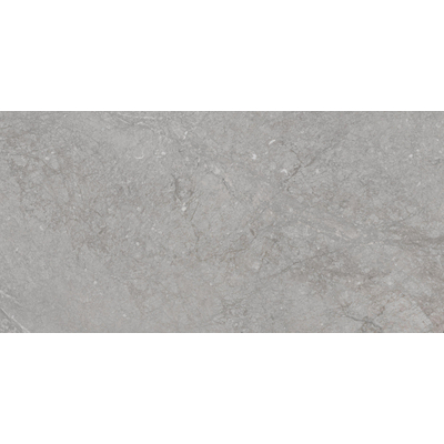 ÉCHANTILLON Terravito Rovella carreau mural et de sol - 30x60cm - rectifié - Aspect pierre naturelle - Pearl mat (gris)