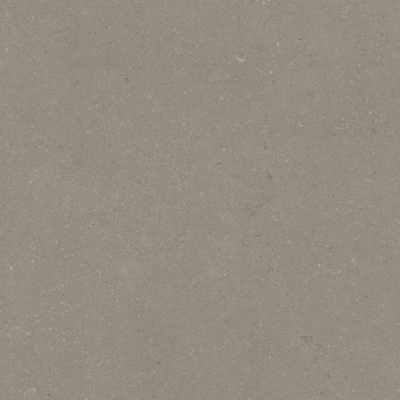 Terravito Selvico Carrelage parquet céramique mural et sol - 60x60cm - 9mm - Greige