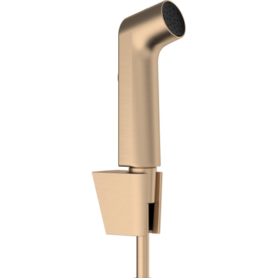 Hansgrohe bidethanddouche 1jet EcoSmart met Porter S douchehouder en doucheslang 125 cm Brushed Bronze
