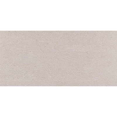 ÉCHANTILLON Ceralto Betonel Raw Carreau mural 30x60cm 8mm tesson blanc Gris