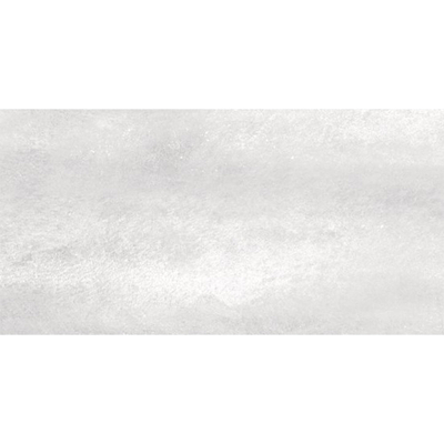 SAMPLE Ceralto Ferron Metal 305X605 Sync Steel