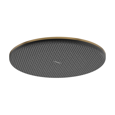 Hansgrohe Raindance Alive S - hoofddouche 300 - 1jet - geborsteld brons (brons)