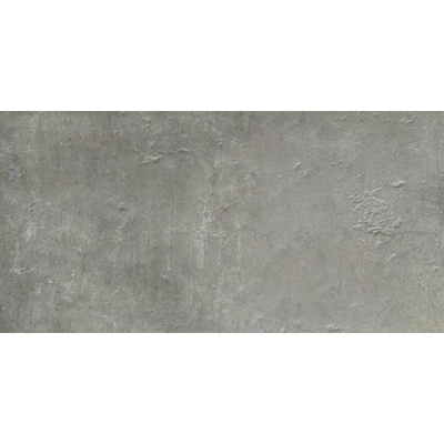 SAMPLE Ceralto Regalia Luxe 300X600 Manor Nuage Mat