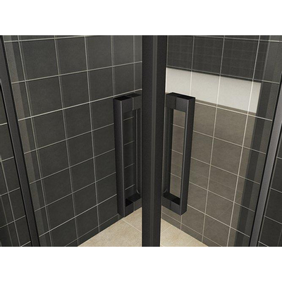 Wiesbaden Skyline Hoekinstap cabine - met 2 schuifdeuren - 80x80x200cm - 8mm - nano helder glas - mat zwart