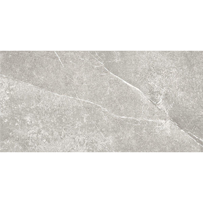 Italgranit shale carreau de sol 30x60cm 9.5 avec anti-gel lune rectifiée mate