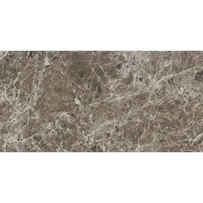 Porcelaingres Estro Vloertegel - 30x60cm - 8.0mm - gerectificeerd - Brown