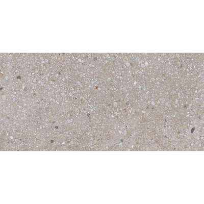 Ceralto Framel Carreau de sol - 59.7x119.7cm - 6.0mm - rectifié - Grey mix