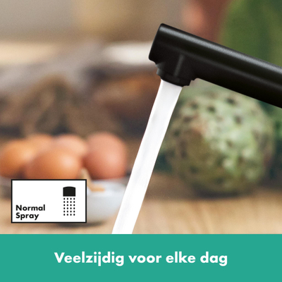 Hansgrohe Zesis m33 - eengreeps keukenmengkraan - 150 - 1jet - mat zwart