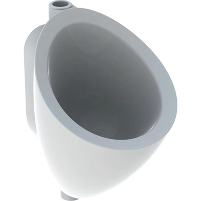 Geberit 300 Urinals 300 urinoir - 35x40cm - met keramisch rooster en sifon - wit