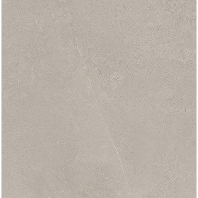 SAMPLE Ceralto Statuva Marble Vloertegel - 60x60cm - 9.0mm - gerectificeerd - Grey limestone