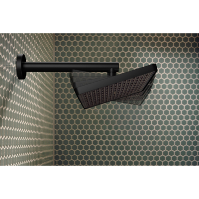 Hansgrohe Activera Q douche de tête - 29x18cm - rectangulaire - ecosmart - noir mat