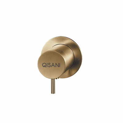 Qisani Flow thermostatische 1 -weg inbouwkraan met inbouwdeel Geborsteld PVD Gold (goud)