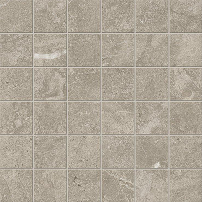 Terravito Pronto Carrelage mural mosaïque - rectifié - Fossil