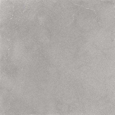 ÉCHANTILLON Terravito Cozino Carrelage de sol et de mur - 60x60cm - rectifié - gris mat